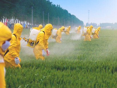 Es tan abrumadora la evidencia de la peligrosidad de productos como el glifosato, que la propia Bayer ya reporta pérdidas económicas