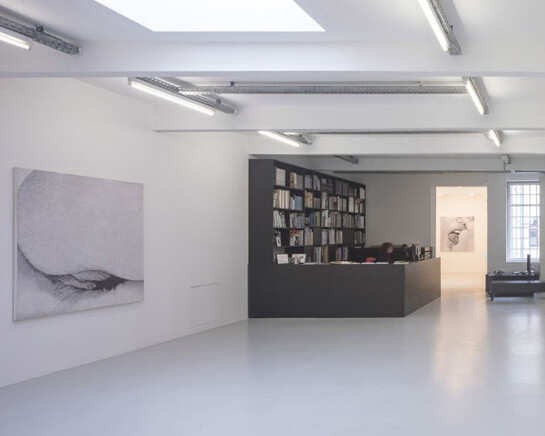 Betty Tompkins, Ausstellungsansicht, Kunstraum Innsbruck, 2017. Foto: Günter Richard Wett