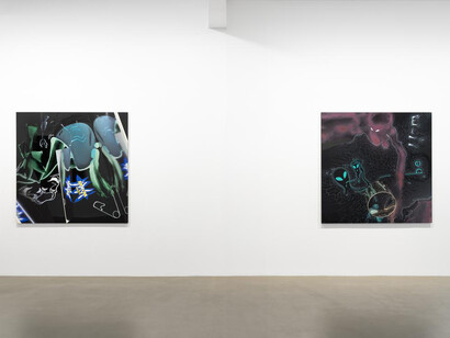 Seth Price, Free fall, vue d'exposition. Avec l'aimable autorisation de la Galerie Chantal Crousel