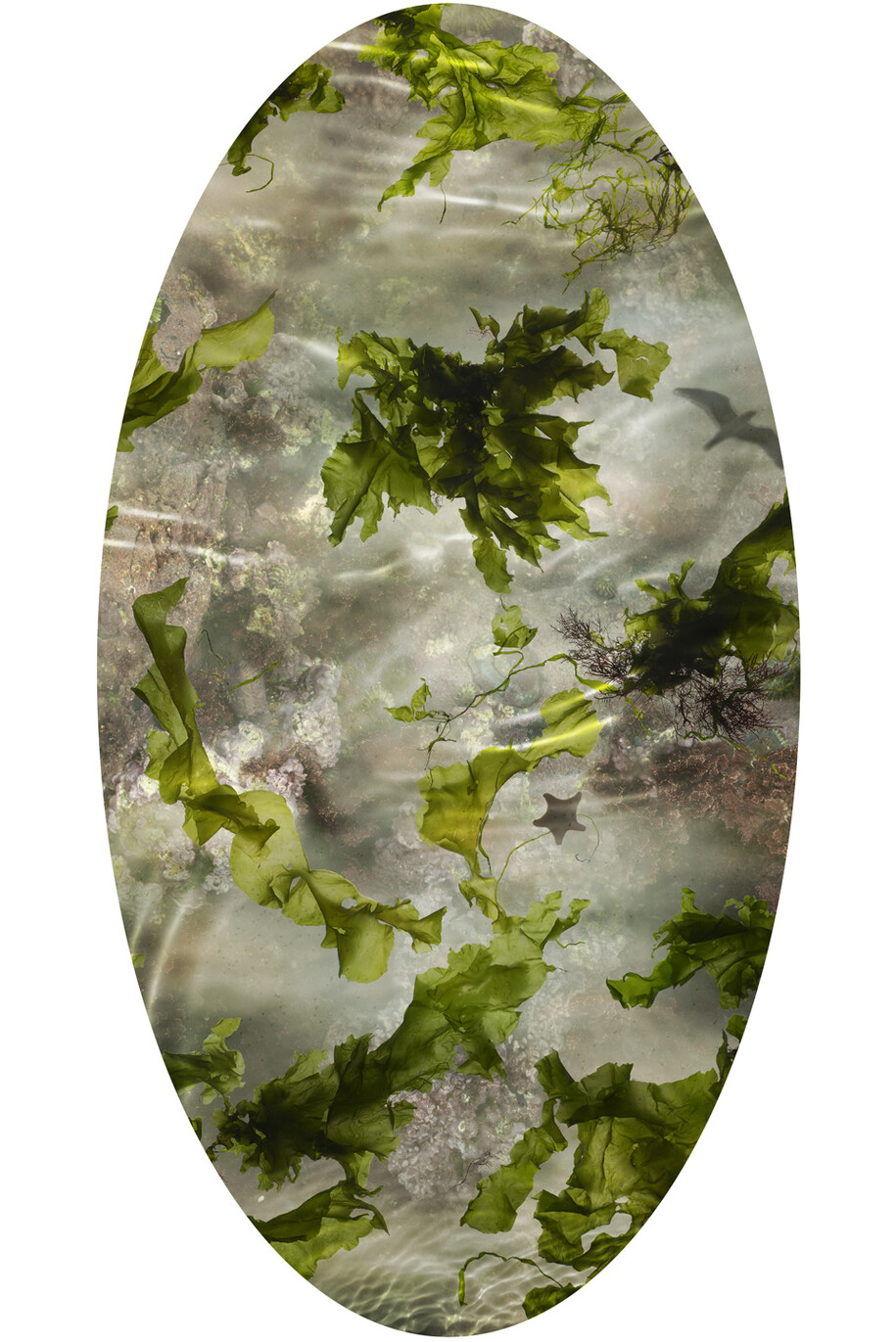 Susan Derges, Tide Pool 21, Unique C type print, 76.2 x 40.1 cm, 30 x 15.8 inches