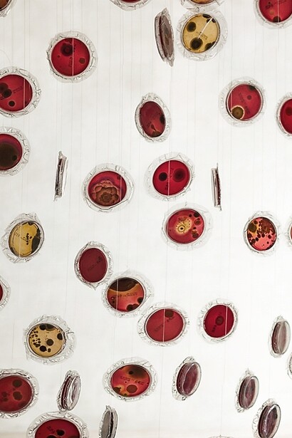 Giuseppina Giordano, All You Feed Is Love, particolare, 2013