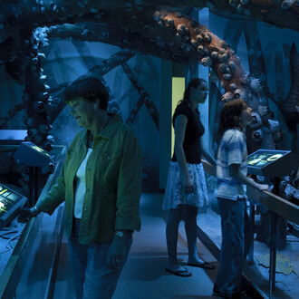 South Florida People & Environments. Courtesy of Florida Museum of Natural History