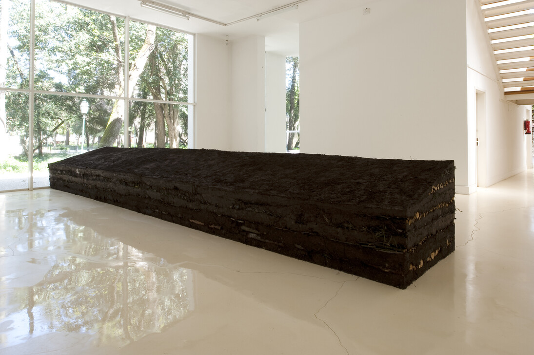 Gabriela Albergaria, Couche Sourde, 2014, soil, tree leaves and branches, Variable dimensions. Photo courtesy of the artist
