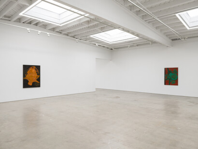 Randy Wray, Hothouse, exhibition view. Courtesy of Karma Gallery