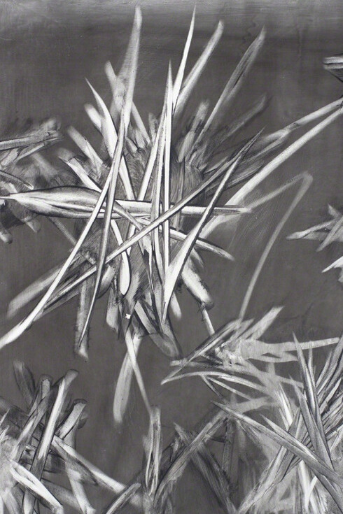 Mark me. Courtesy of Cross Contemporary Art