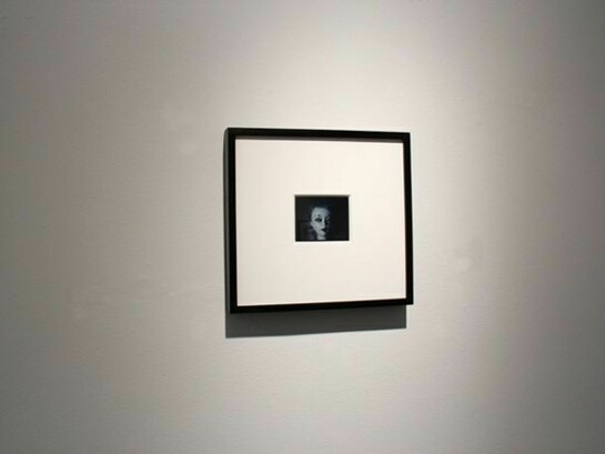 Nancy Burson, Exhibition Image