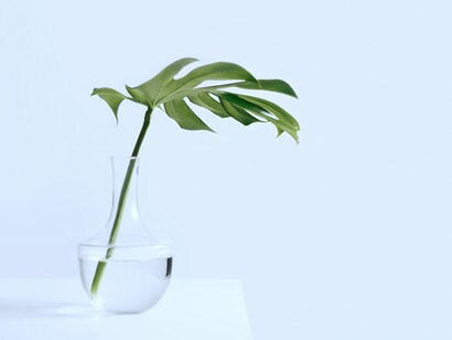 Sin raíces, objetos decorativos