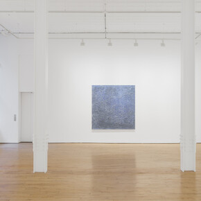 Vicky Colombet, Memory of the surface, exhibition view. Courtesy of James Cohan Gallery