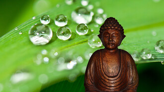 Yoga et Méditation