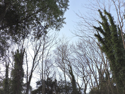 Entre las sierras de Villa Serrana, Uruguay, los caminos de tierra, los árboles frondosos y los paisajes abiertos invitan a caminar sin apuro y a reconectar con la naturaleza