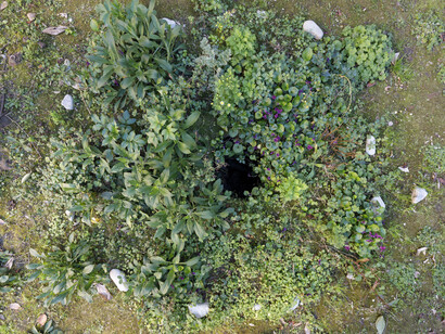 Bucoverde, installazione 2020-in corso, foto Marco Parollo