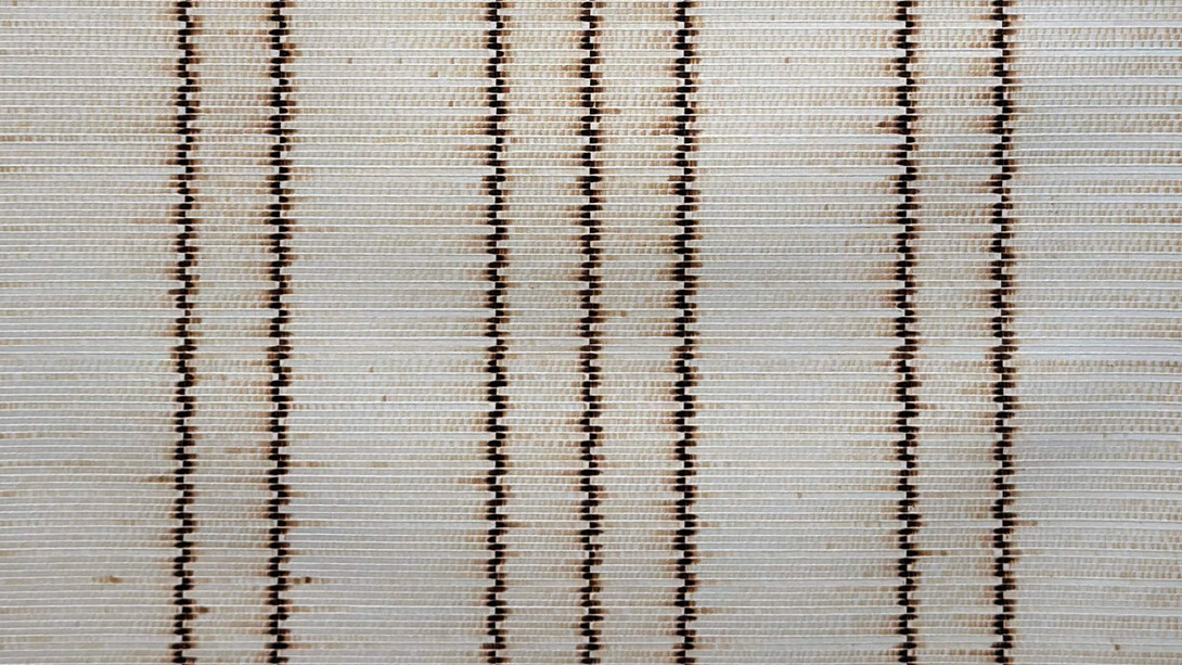Ankush Safaya, Untitled (detail), 20025. Courtesy of Sakshi Gallery