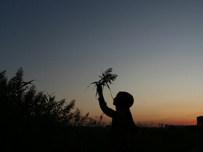 Las plazas y parques urbanos ofrecen un respiro en medio de la ciudad, aunque a veces resultan insuficientes para desconectar por completo