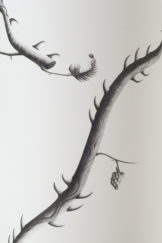 Sarah Woodfine, Untitled II (detail), pencil on paper, 2015
