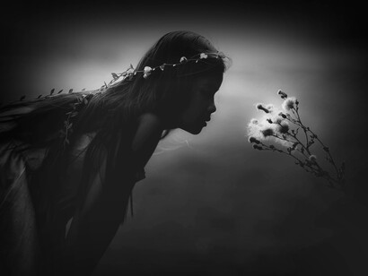 Una niña mira fijamente una flor en media de una pradera