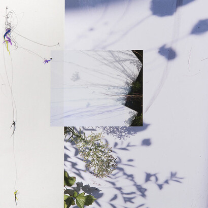 Lineations 2. Courtesy of Yancey Richardson Gallery