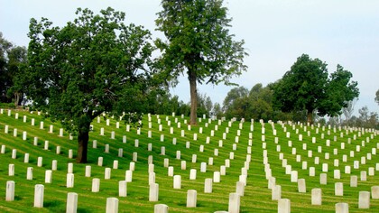 El devenir de cada una: escarchas, lluvias y veranos en la rueda de la vida. Se repiten siempre, hasta que un día ya no amanece.  