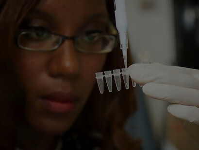 In the laboratories of the National Cancer Institute's Experimental Immunology Branch, Dr. Chanelle Case Borden, a postdoctoral fellow, skillfully pipettes DNA samples into a tube, initiating the polymerase chain reaction (PCR) technique. PCR is a critical laboratory method employed to amplify specific DNA segments