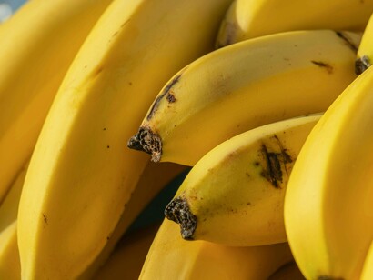 É pouco provável que possamos dizer quando ela surgiu na face da terra, mas o que parece é que a sua domesticação teria começado lá pelo sudeste asiático por volta de 8.000 anos antes da Era Comum, e, pasmem, ainda hoje é possível encontrar espécies selvagens por lá