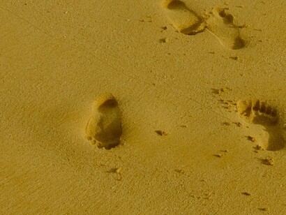 Si no cambiamos de modelo, todo se perderá y olvidará como lágrimas en la lluvia o huellas en la arena