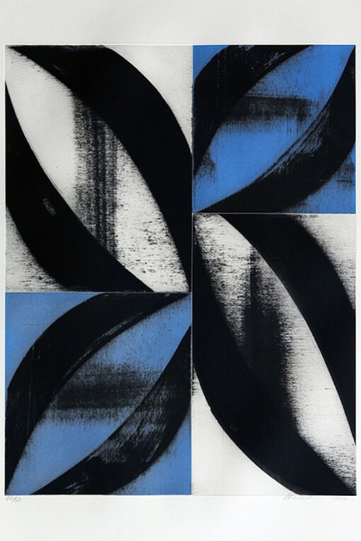 Charles Arnoldi Arcs & Strings. Courtesy of Meyerovich Gallery