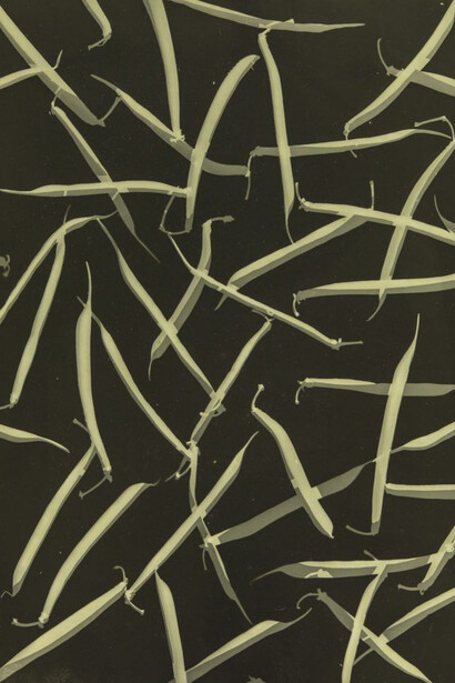 Past Present Future. Courtesy of NOMA