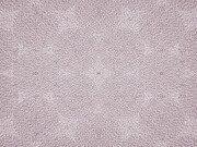 Tim Head. Courtesy of Parafin