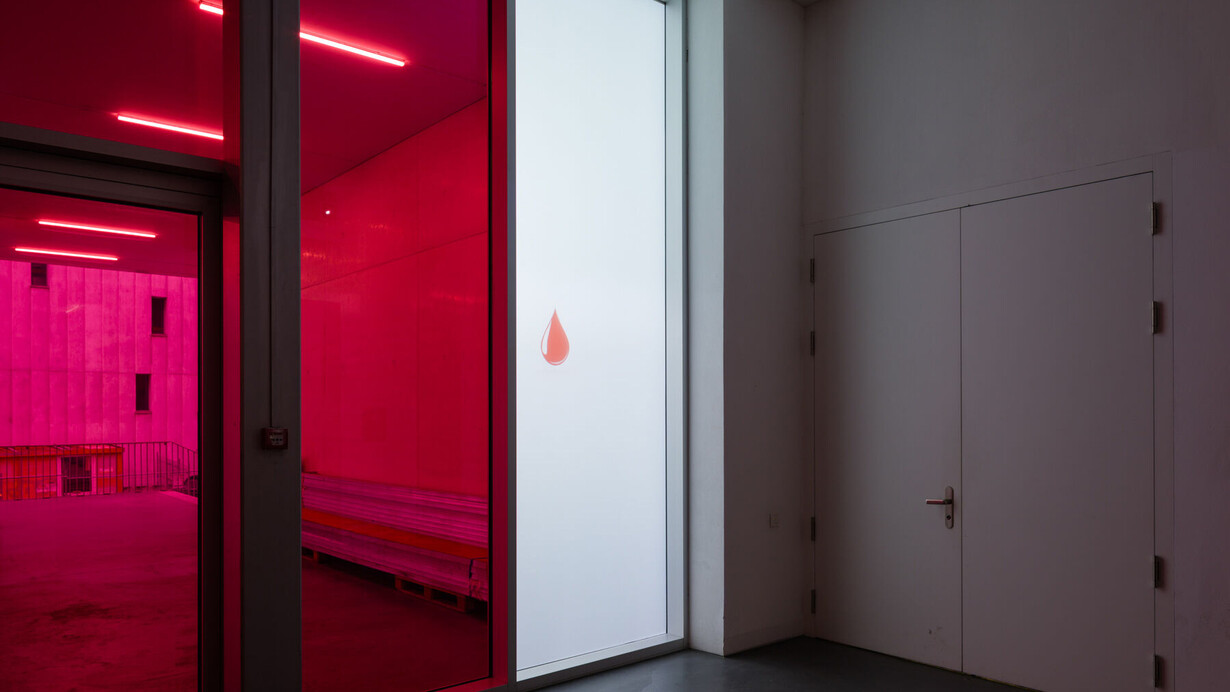 Linda Semadeni, Bildschirmaufnahmen, Ausstellungsansicht. Mit freundlicher Genehmigung des Migros Museum