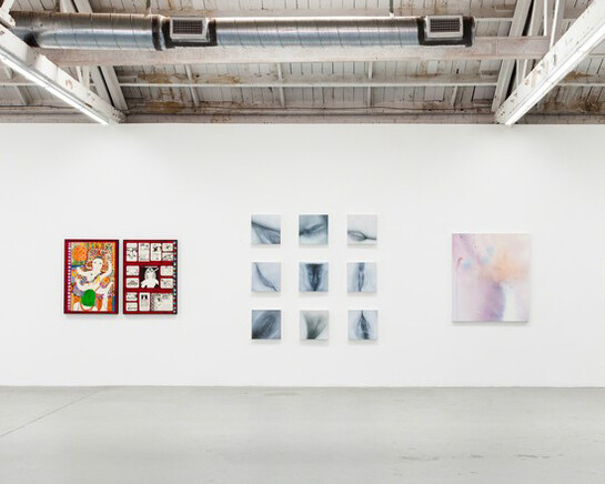 Cunt, Exhibition view. Courtesy of Venus