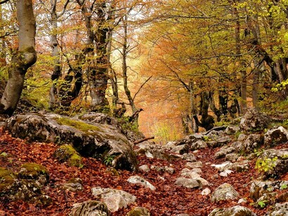 Montenegro. Outono no parque nacional de Durmitor