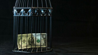 Gabbia per animali domestici che contiene una banconota da un dollaro: una riflessione sul potere, i limiti e le contraddizioni del sistema economico