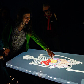 Microbiote. Courtesy of Cité des Sciences et de l'Industrie