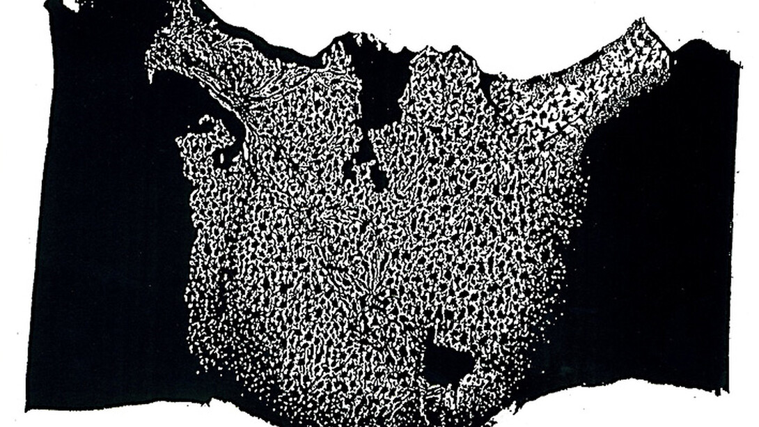Le corps grotesque - 6. Gravure sur bois, 121x192 cm.