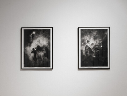 Fields of Emotional Habits, Radenko Milak, Foto Nathan Ishar, courtesy PRISKA PASQUER, Cologne