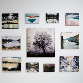 Regeneration Series, Exhibition view. Courtesy of NSU Art Museum