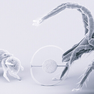 Physics. Courtesy of Deutsches Museum