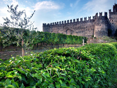 Castello nella Franciacorta