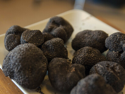 Madrid Fusión 2015. Trufas negras de Soria. Foto Thalía Olszewski Ibáñez