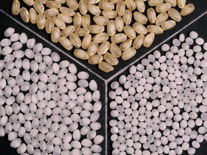 Different rice varieties are used to make each sake, but with the same method