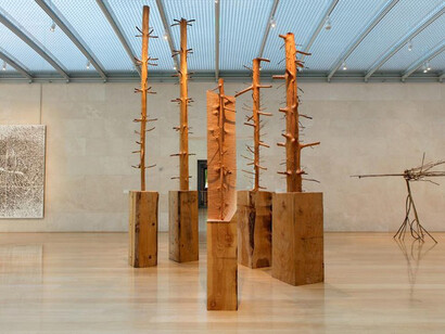 Giuseppe Penone, Nascher Repeating Forest