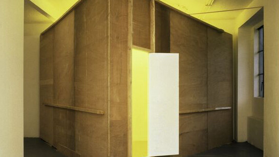 Bruce Nauman. Courtesy of Museo Picasso Málaga