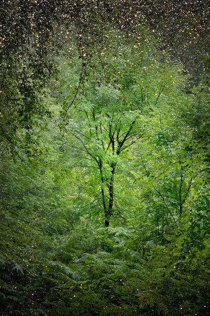 Detail of Ellie Davies ‘Stars 10’, 2014