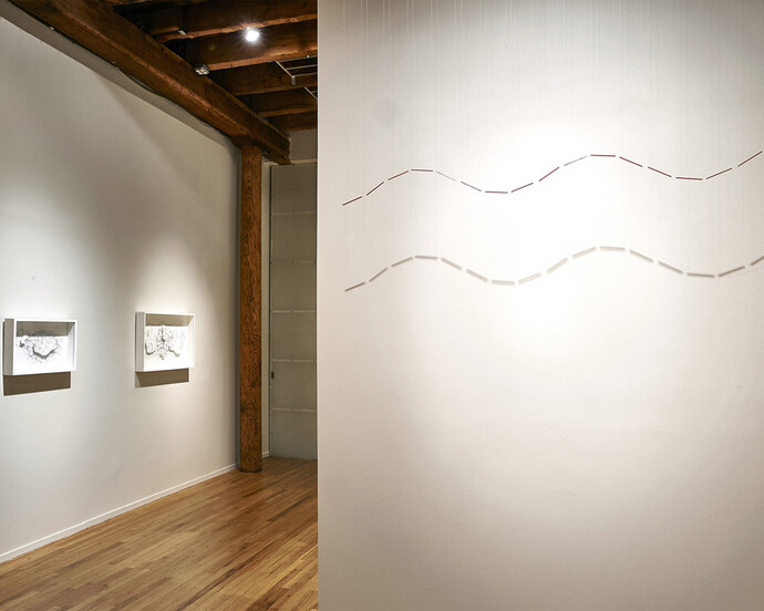 Expanding the Line: Drawing, Video, and Sculpture. Courtesy of Cecilia de Torres, Ltd.
