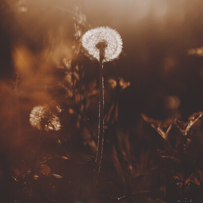 A better world full of hope