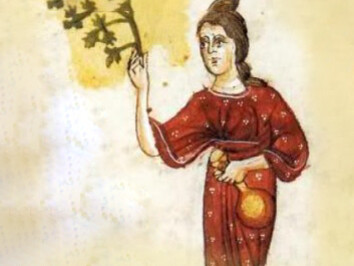 Le prime testimonianze sui medici salernitani si datano tra il IX e X secolo