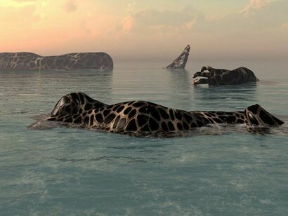 Kim Joon, Detail of Island-Turtle, 2013, digital print, 63 x 39.4 inches.Courtesy of Sundaram Tagore Gallery.