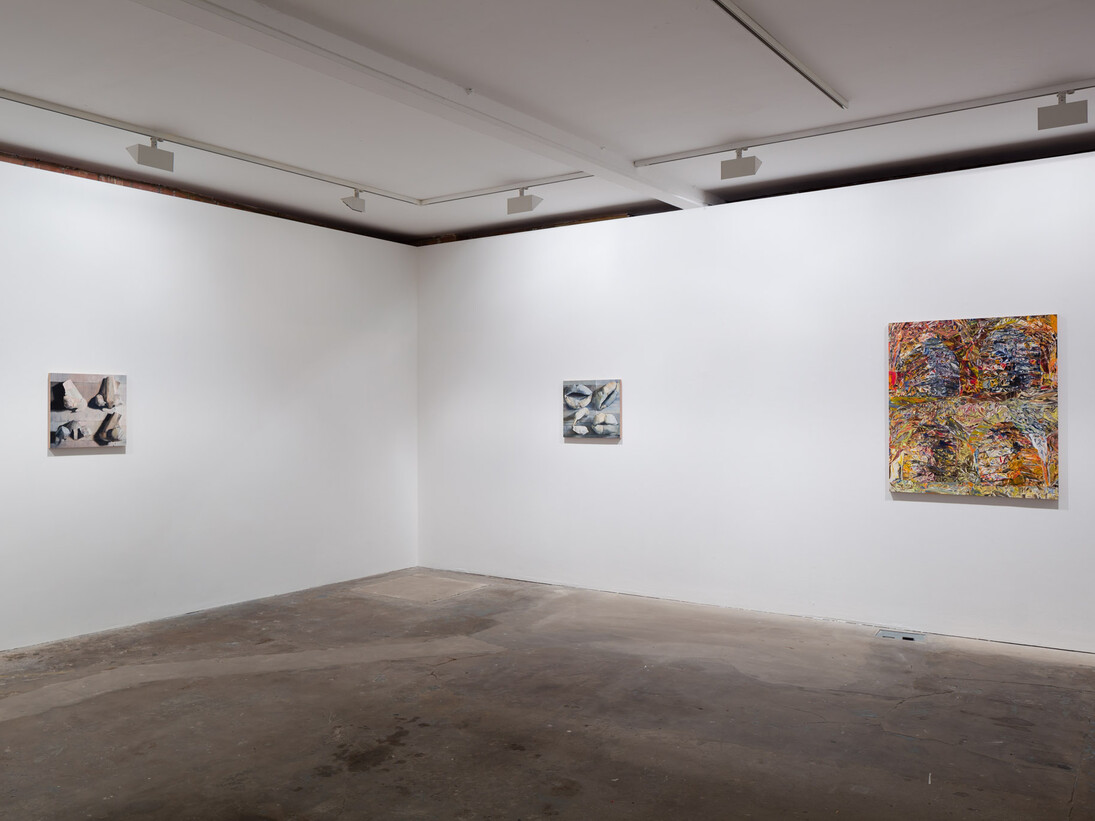 William Daniels, 2014, Vilma Gold, London, Installation View, Courtesy Vilma Gold, London