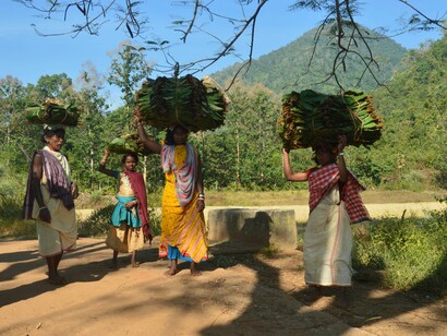 Dongria Kondh adivasis, Niyamgiri, India - the state considers such areas fit for colonisation to feed industrial growth @ Ashish Kothari