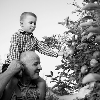 Ogni boccone può risvegliare sensazioni antiche, legate a momenti della nostra vita