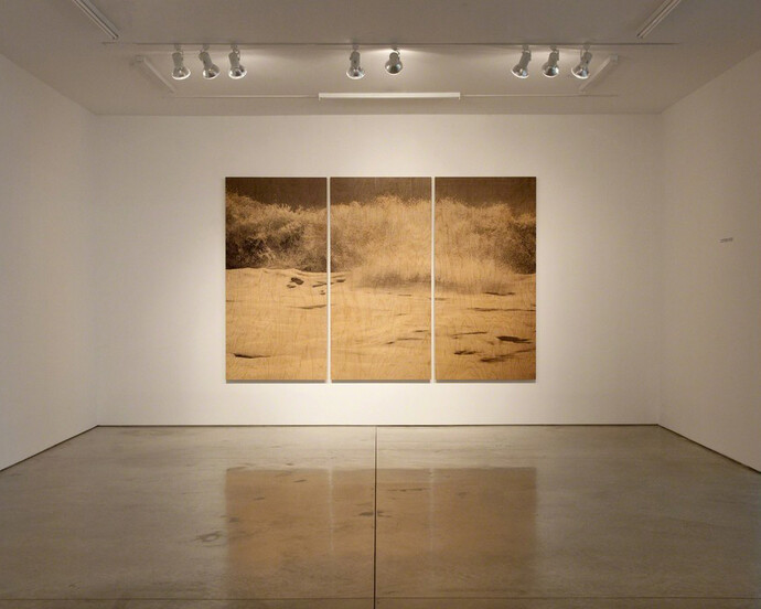 Clifford Ross. Wood Waves, Exhibition view. Courtesy of Ryan Lee